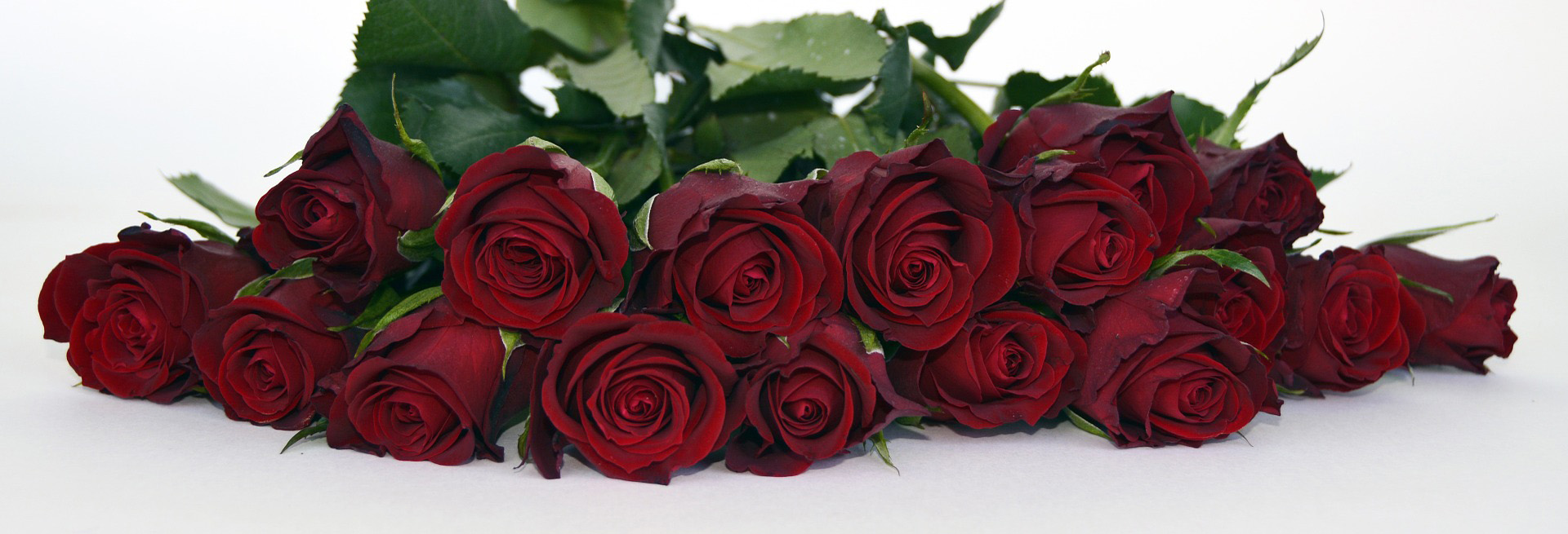 Rote Rosen